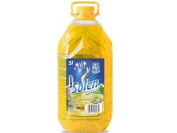 astianpesuainetta 5l